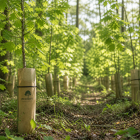 L'ENVIRONNEMENT